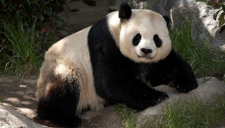 San Diego Zoo