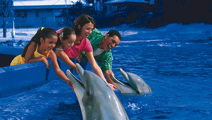 SeaWorld
