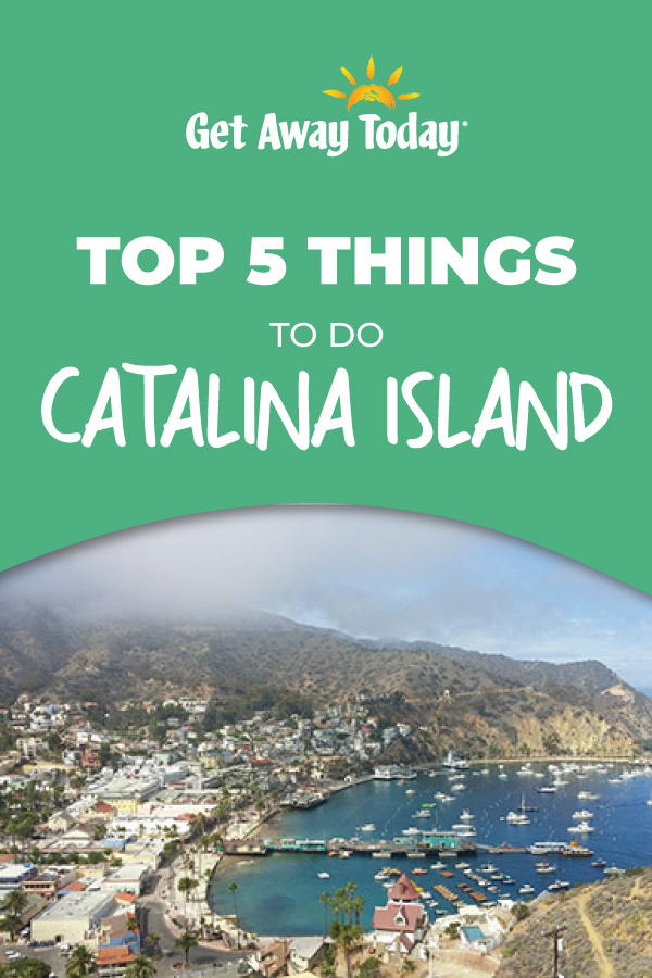 Top 5 Things to do on Catalina Island