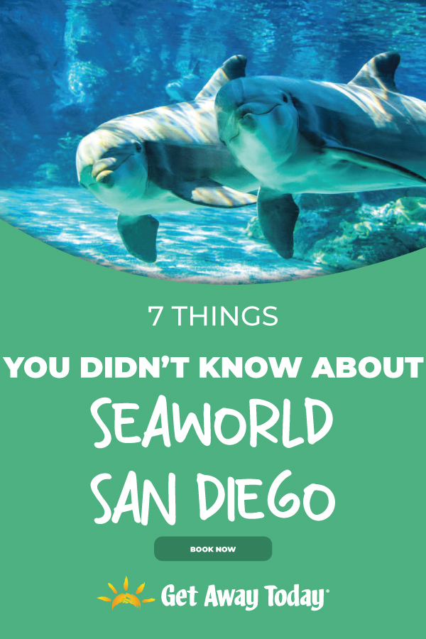 7 Things You Didn't Know About SeaWorld San Diego || Get Away Today