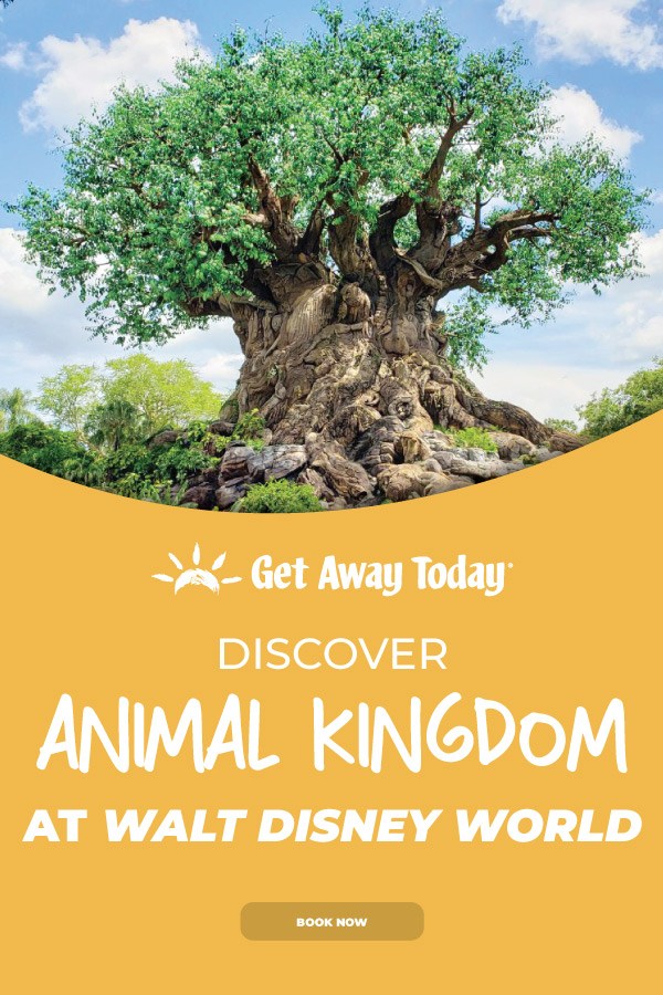 Discover Animal Kingdom at Walt Disney World Resort || Get Away Today