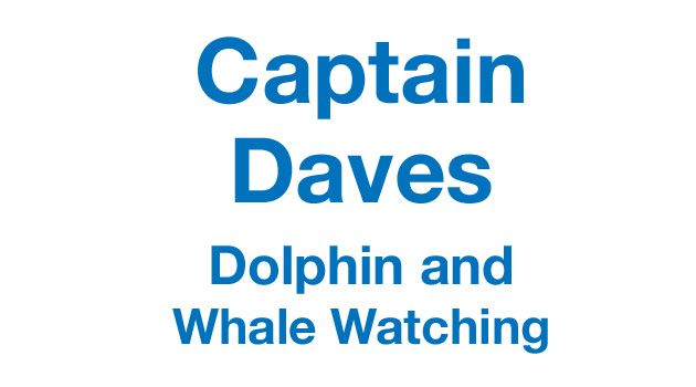 Captain Dave's Dolphin & Whale Watching Safari