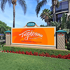 Tropicana Inn & Suites Anaheim Review