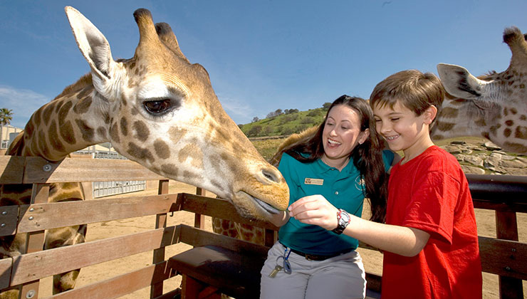 San Diego Zoo/Safari Park - 2-Visit Pass - <b><font color=red>Kids FREE in October! </font></b>
