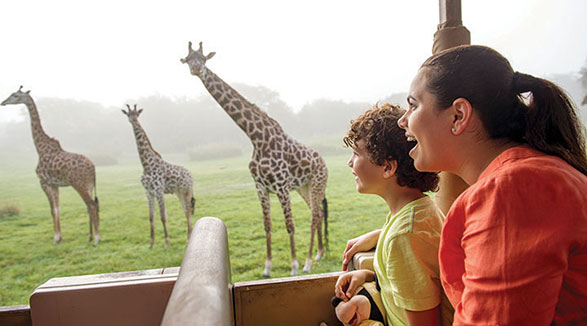 Africa at Disney's Animal Kingdom®