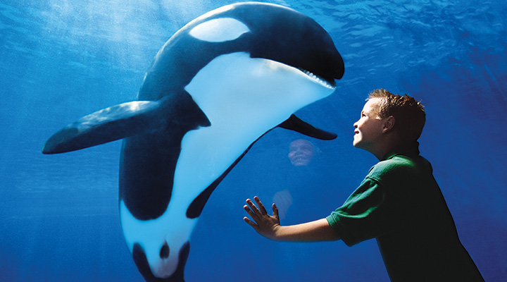 SeaWorld Weekday Ticket - Valid for visits on Monday thru Thursdays only.