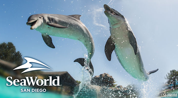 SeaWorld  - <b><font color=blue>Kids FREE in October! </font></b>