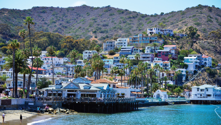 Catalina Express - Round Trip Boat Transportation and Avalon City Tour from Long Beach or San Pedro Terminals