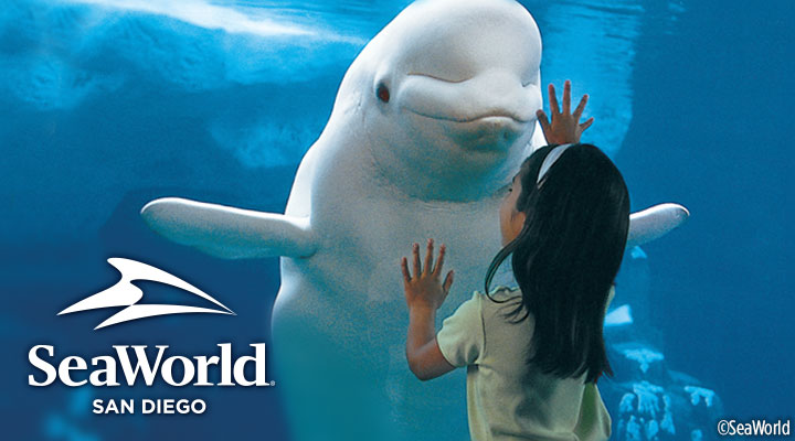 SeaWorld San Diego Single Day Ticket  