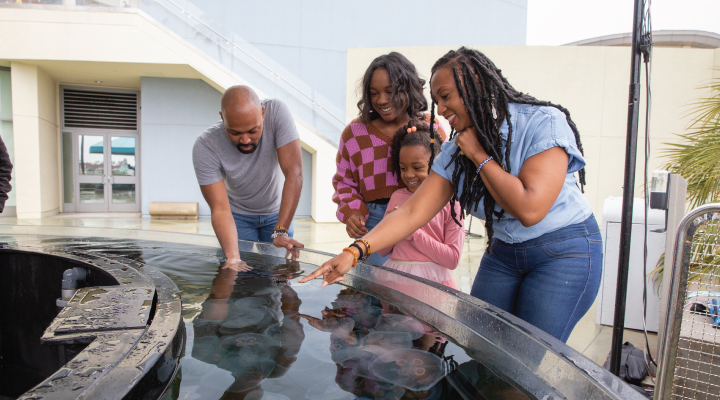 Aquarium of the Pacific - Single Day Ticket