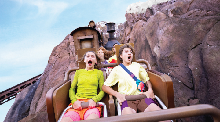 Florida Resident Discover Disney 3-Day Ticket with PARK HOPPER® Option