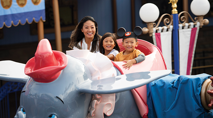 3-Day 1-Park per Day DISNEYLAND® E-Tickets with Lightning Lane