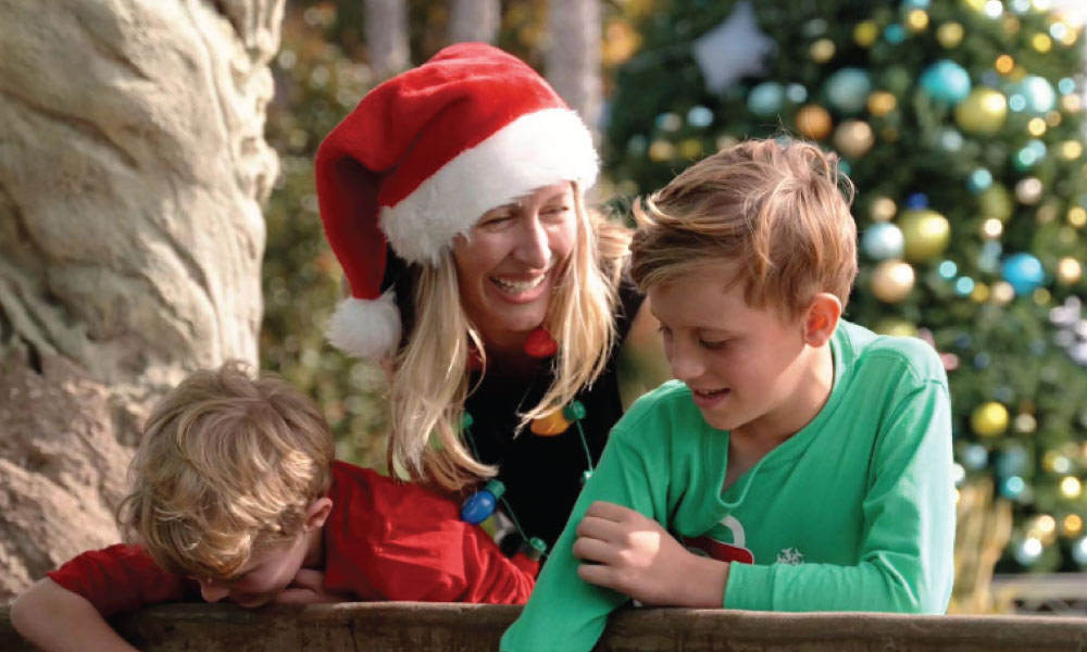 Mom wearing a santa hat with two boys looking at water