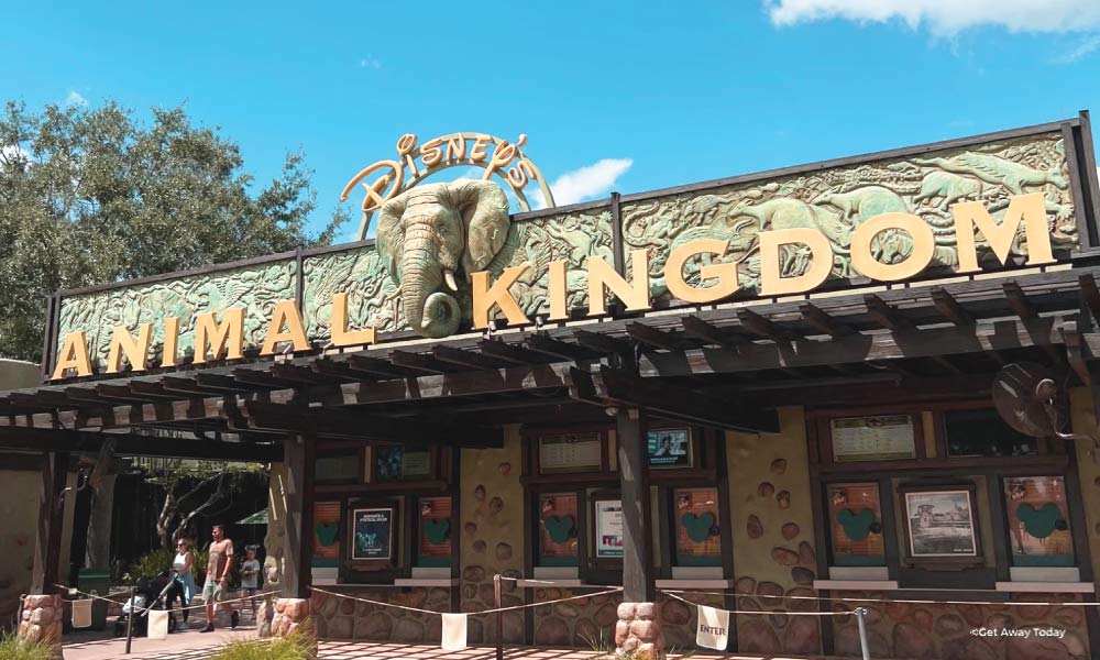 Entrance to Animal Kingdom with elephant head above ticket counter