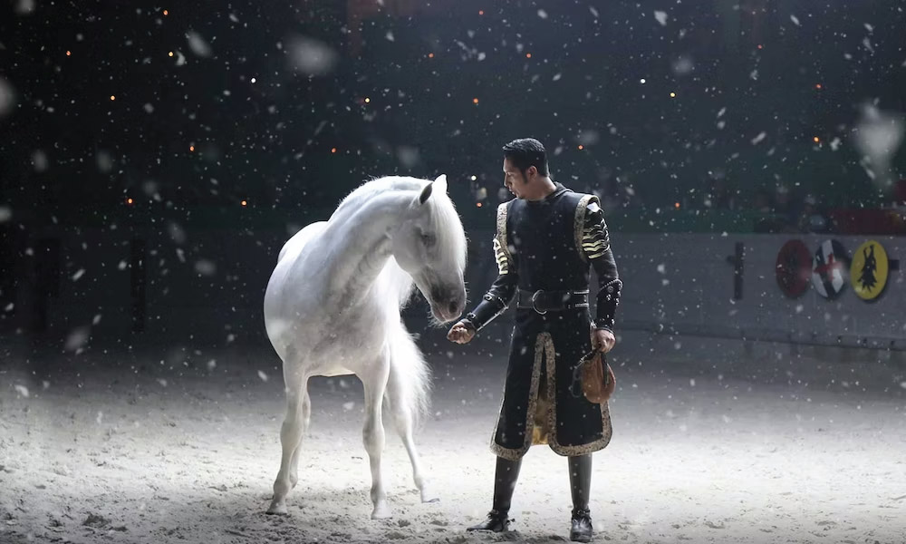 Knight dressed in black with a pure white horse in the stadium with fake snow falling