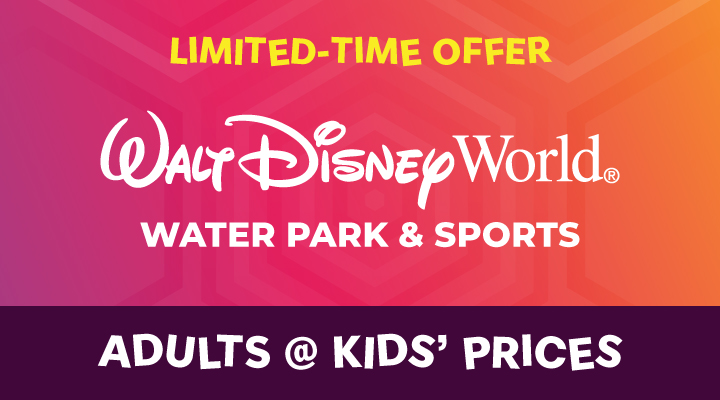 WALT DISNEY WORLD® Resort Water Park and Sports - <b><font color=red>Adults at Kids' Prices</font></b>