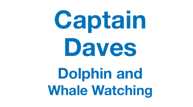 Captain Dave's Dolphin & Whale Watching Safari ​- <b>Refundable Tickets</b>