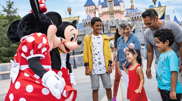 1-Day Disneyland® Resort Ticket (Refundable)